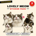 Lovely Meow