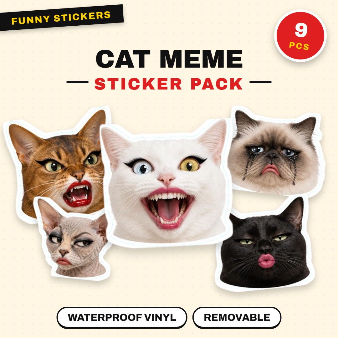 Exaggerated Cat Faces