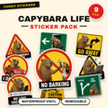 Capybara Life