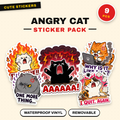Angry Cat