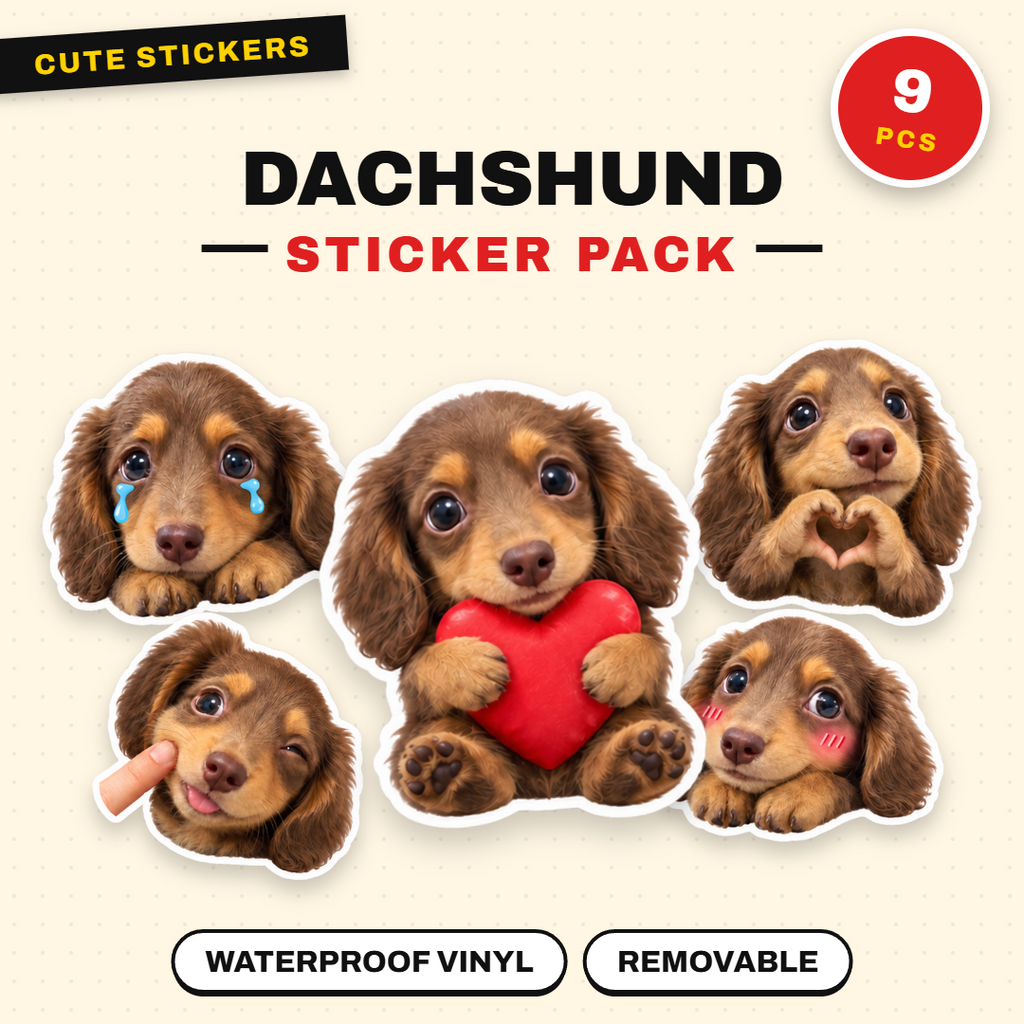 Dachshund