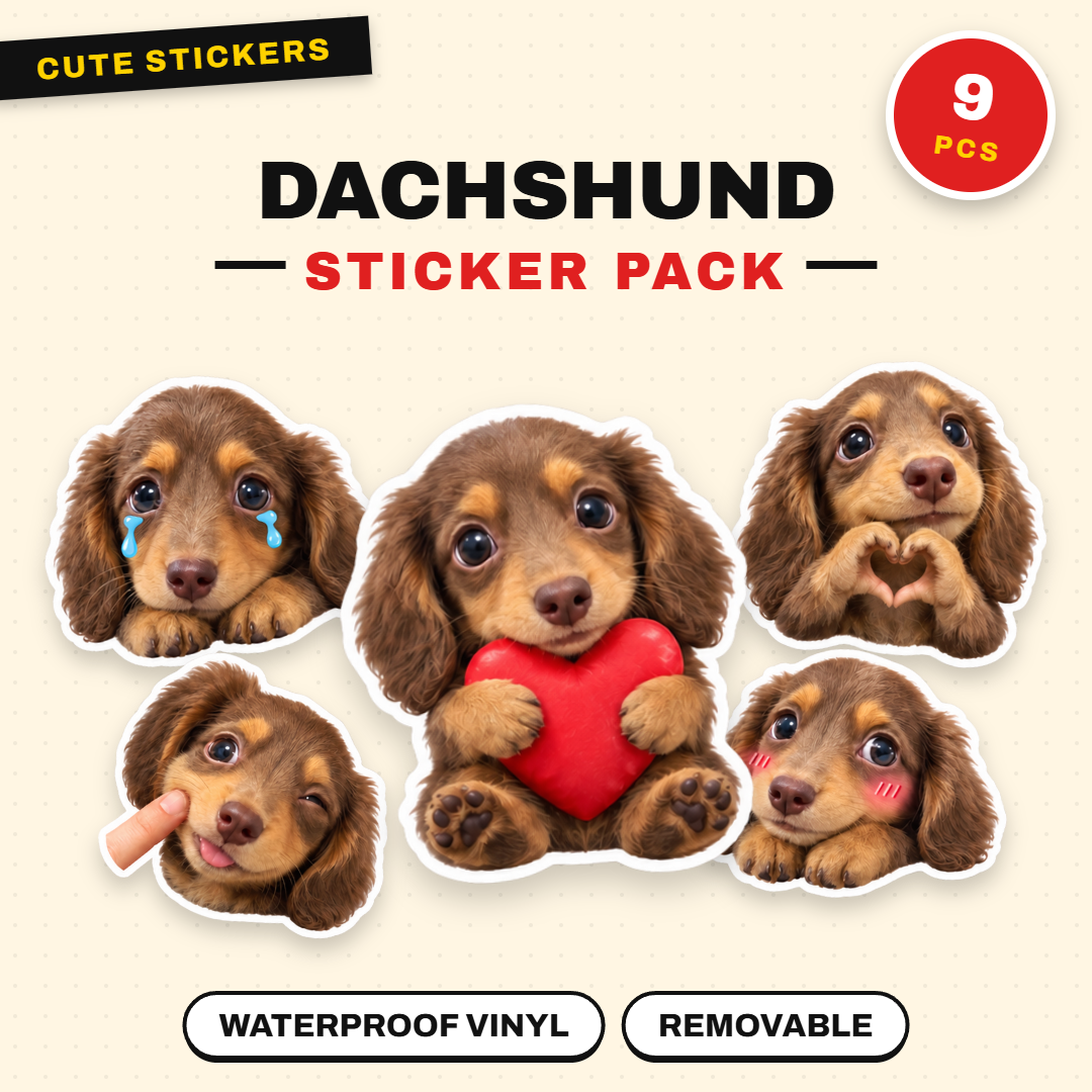 Dachshund