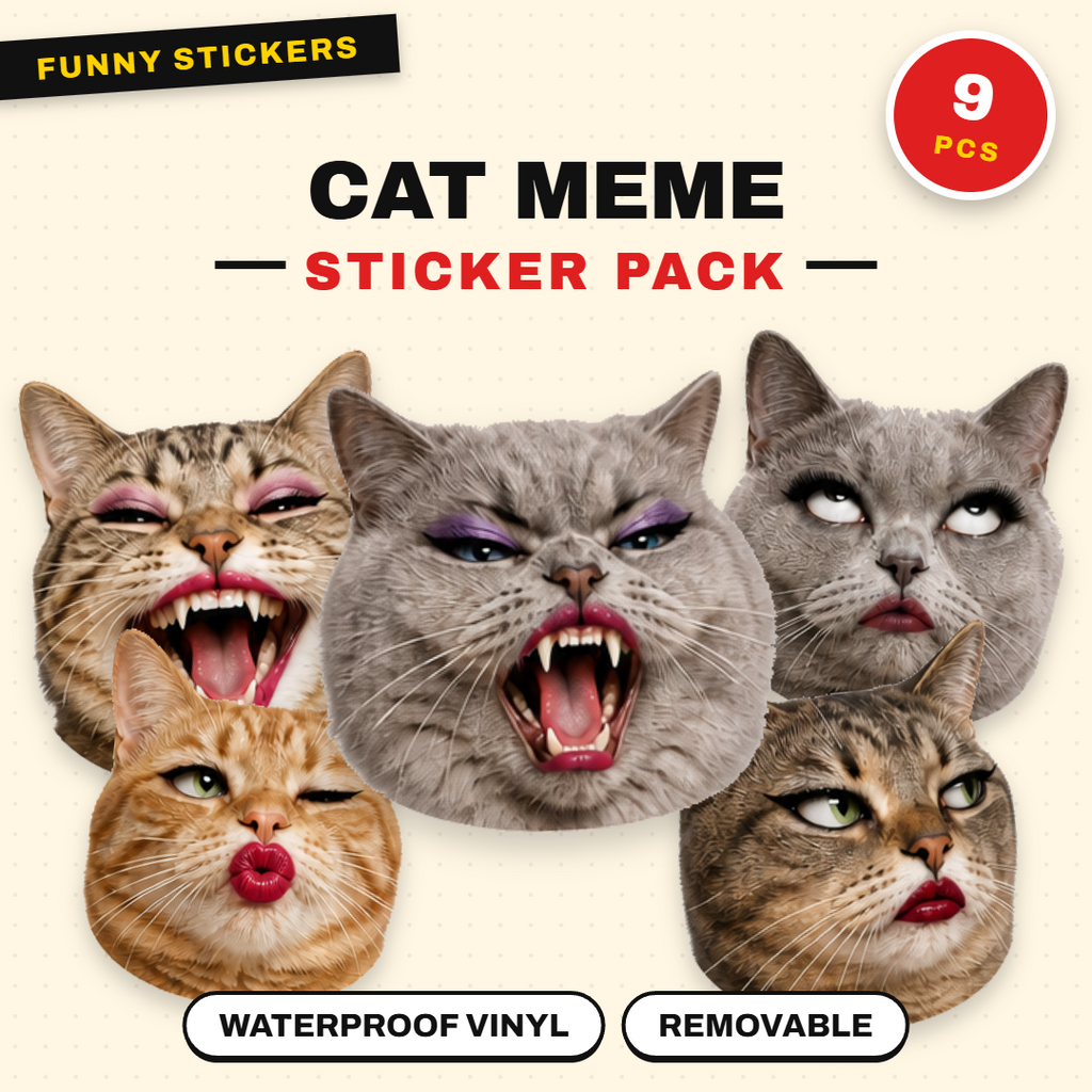 Cat Meme