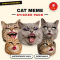 Cat Meme
