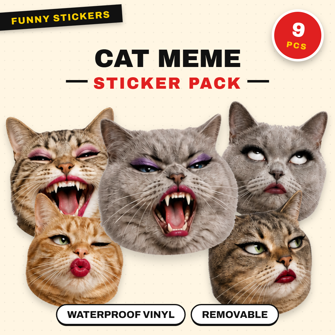 Cat Meme