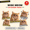 Wise Meow