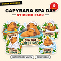 Capybara Spa Day