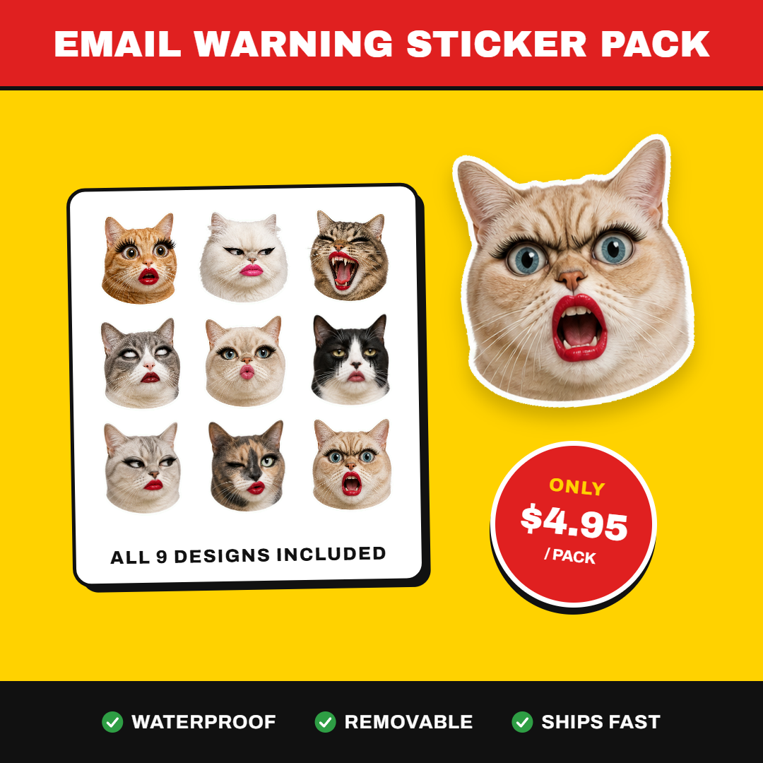 Cat Meme