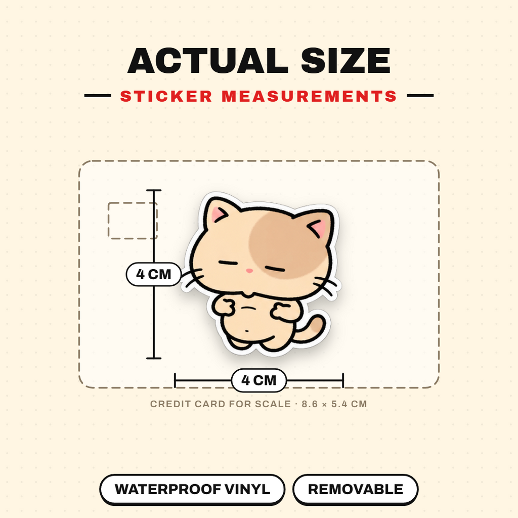 Shy Kitten
