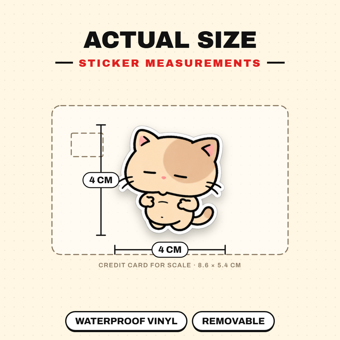 Shy Kitten