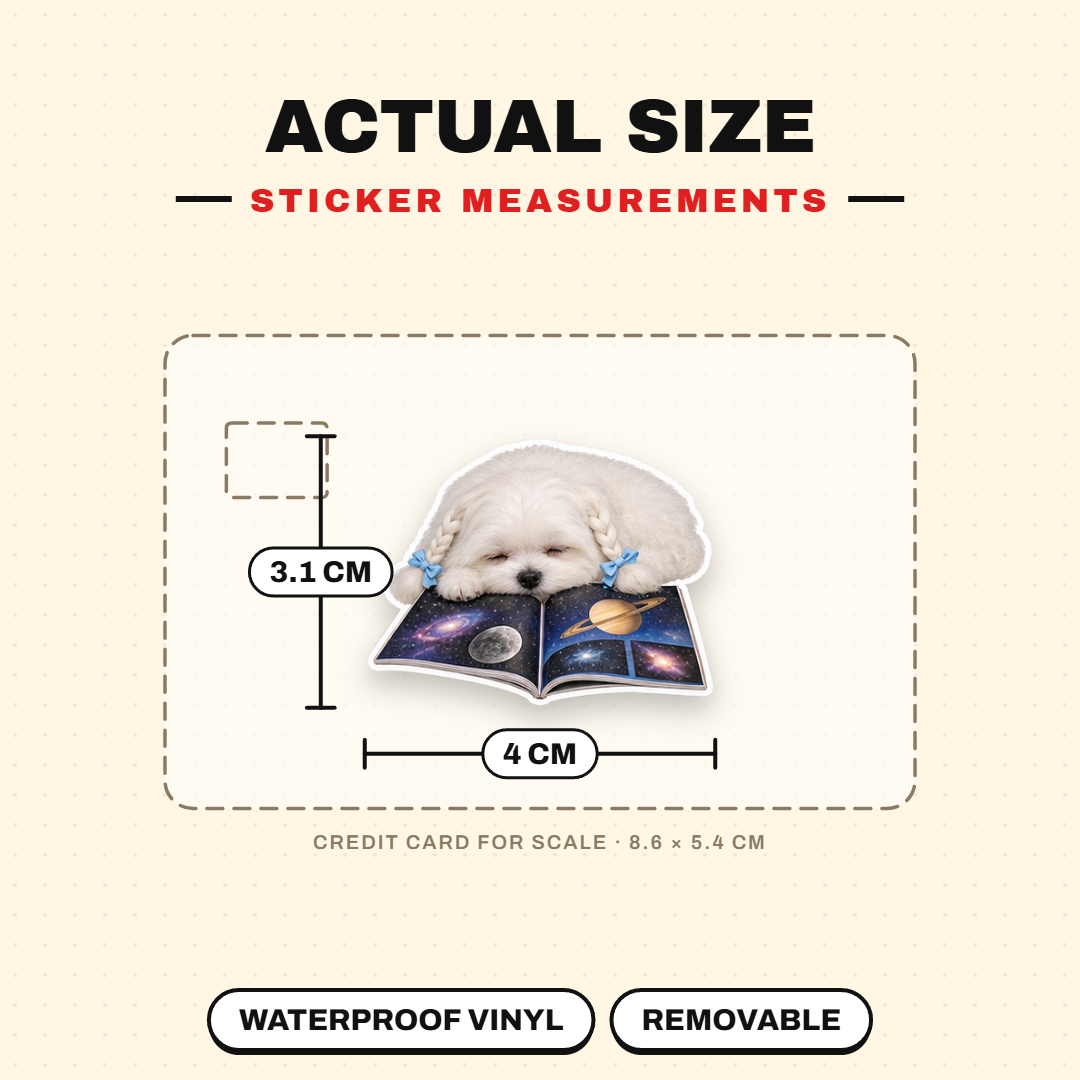 Dog Magazines