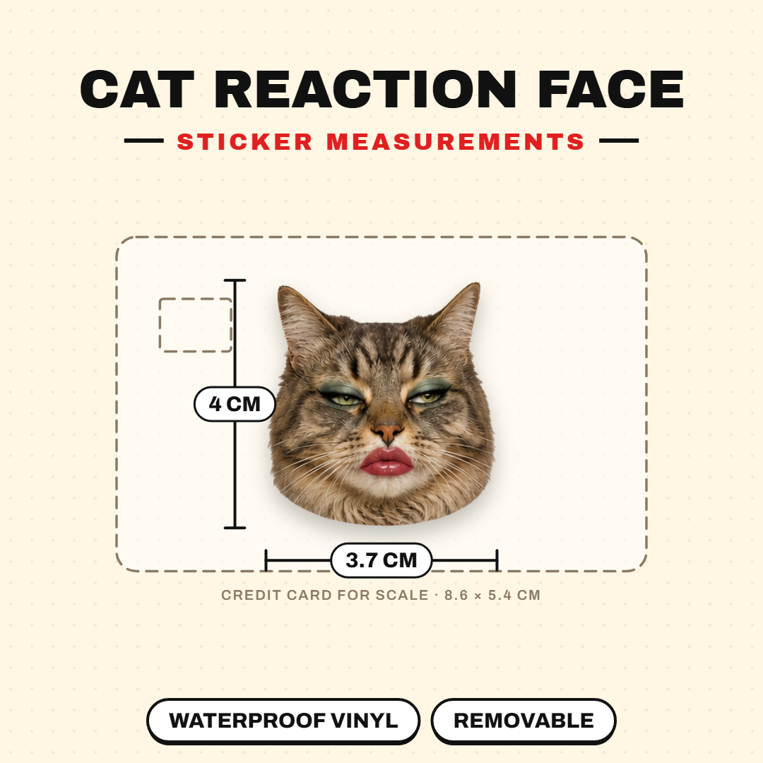 Cat Reaction Face Stickers Pack