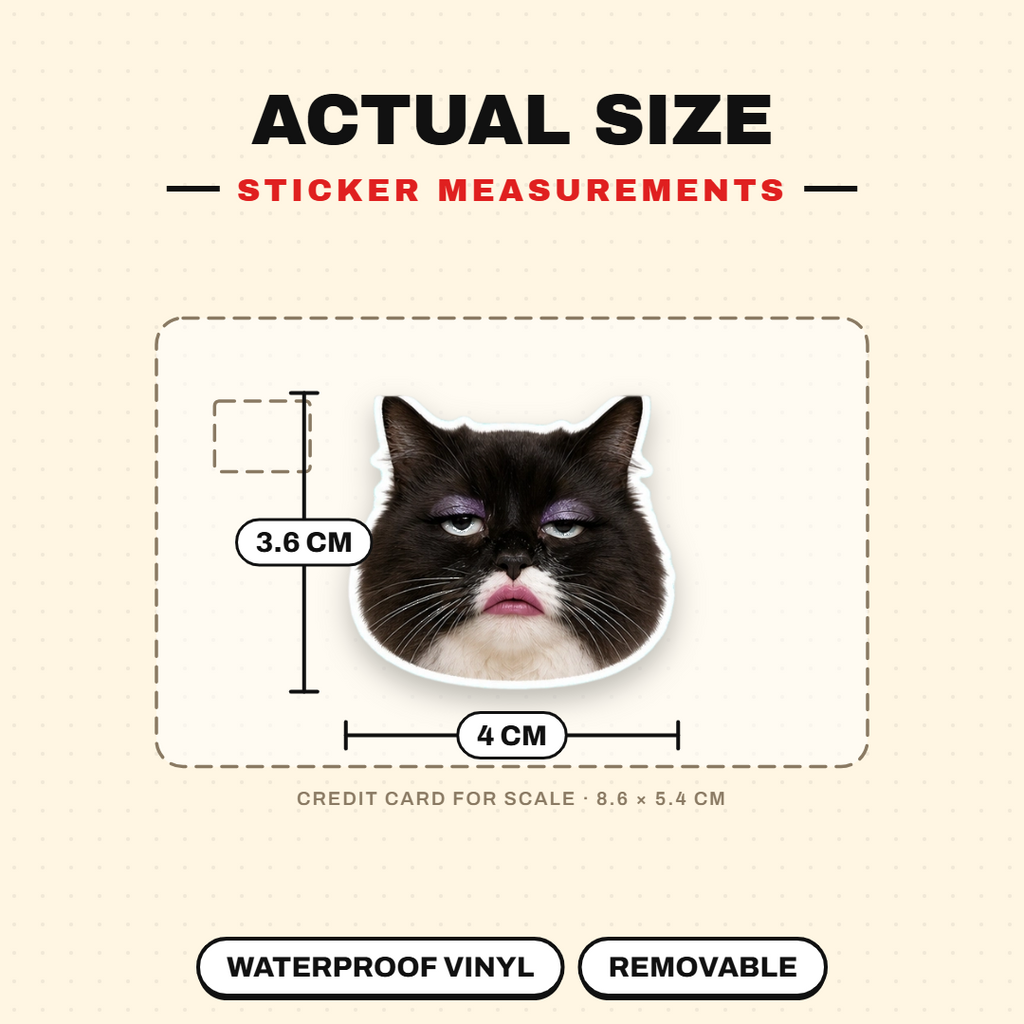 Exaggerated Cat Faces