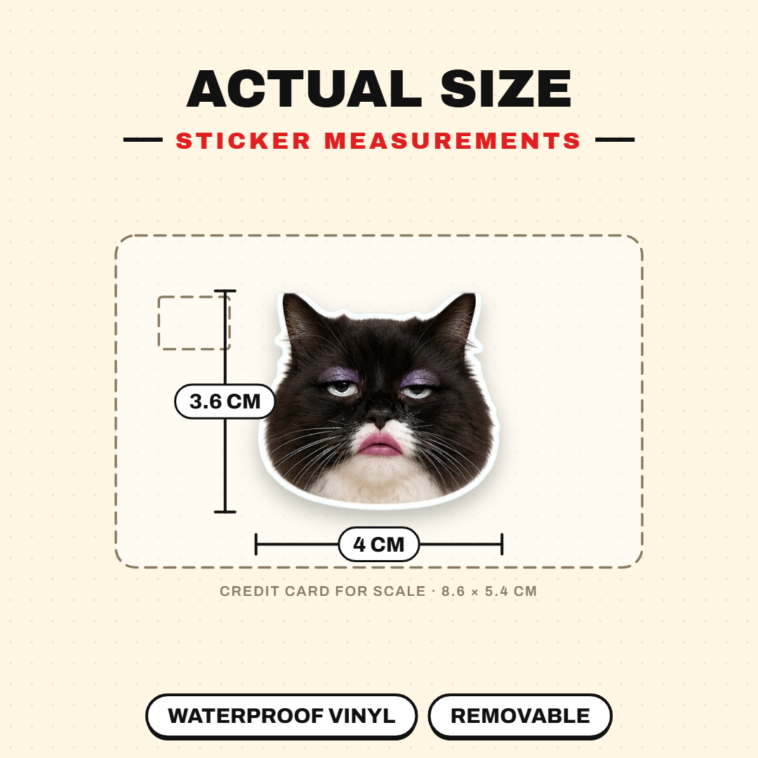 Exaggerated Cat Faces