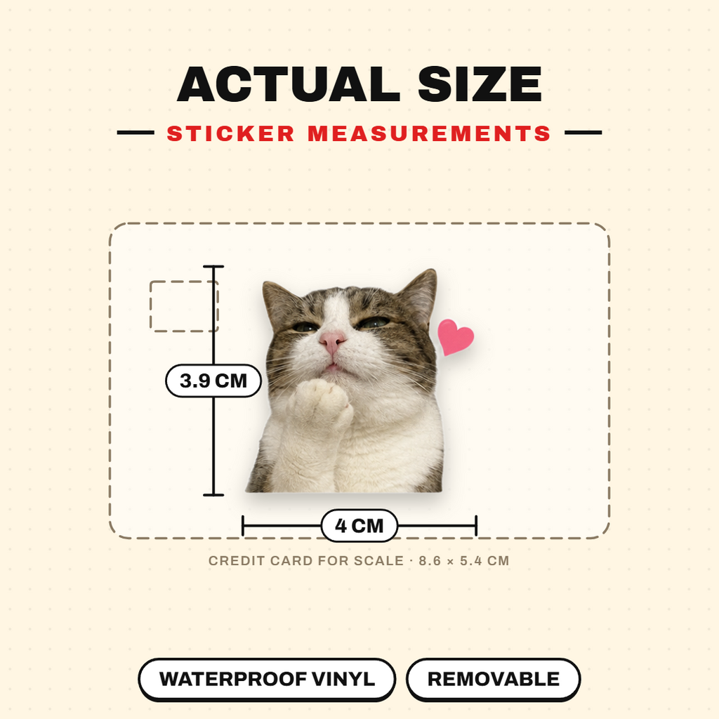 Lovely Meow
