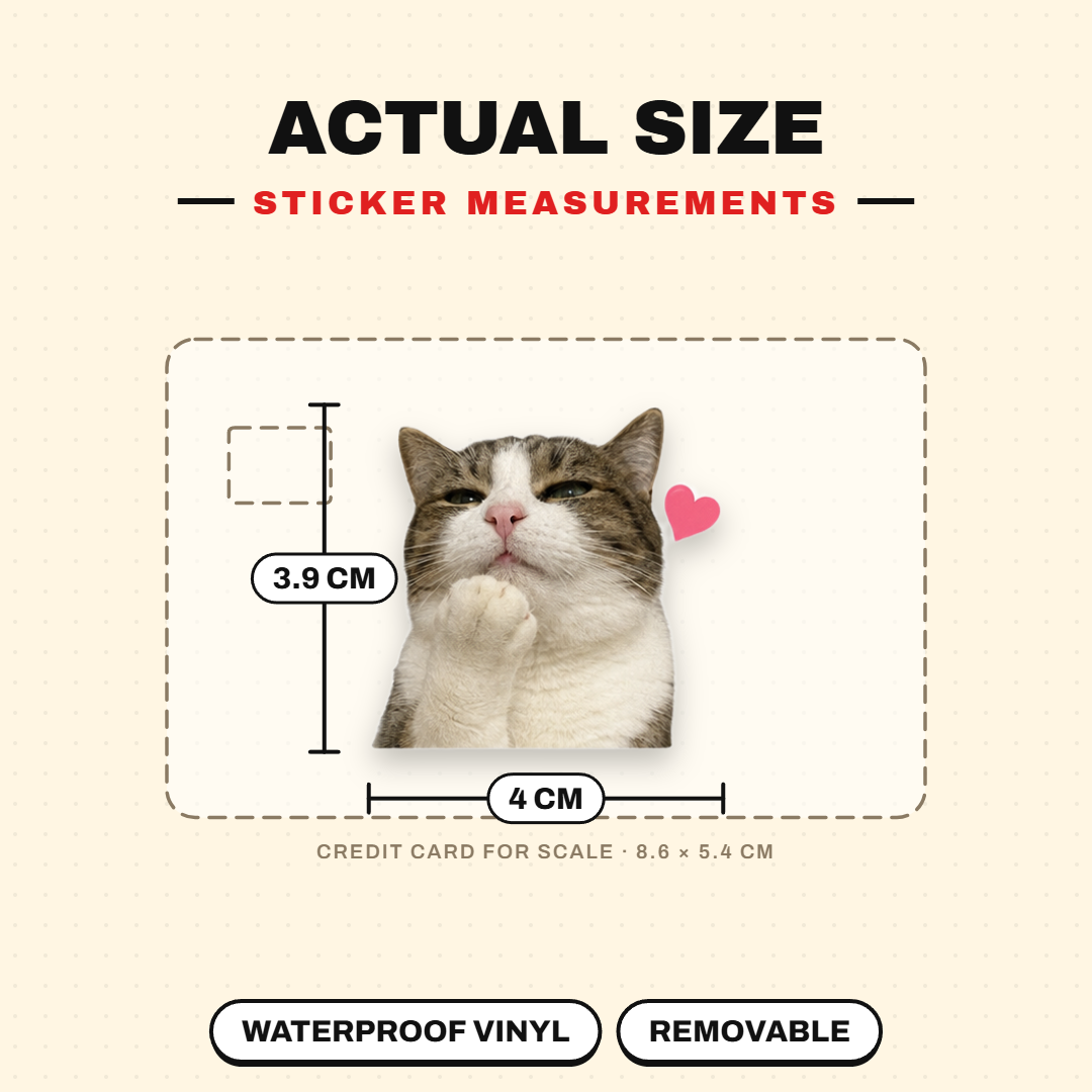 Lovely Meow