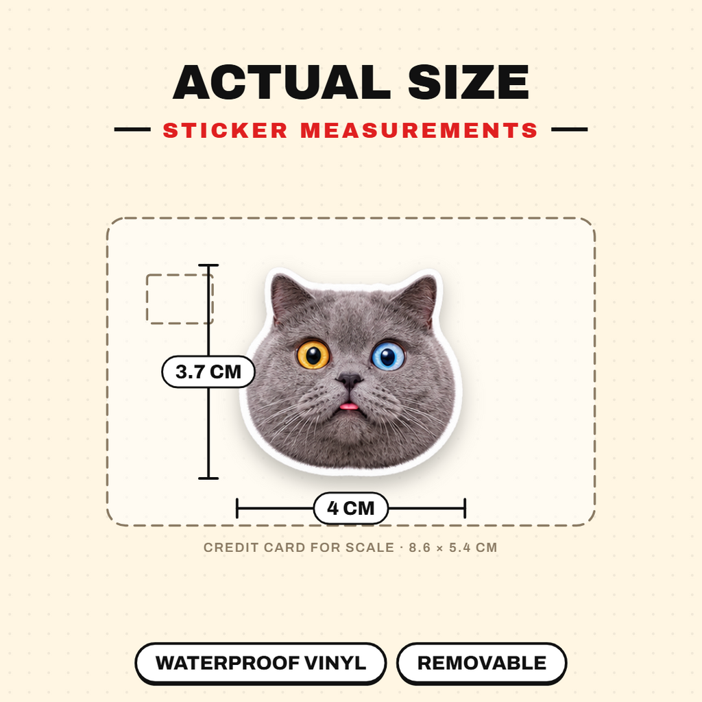 Exaggerated Cat Faces