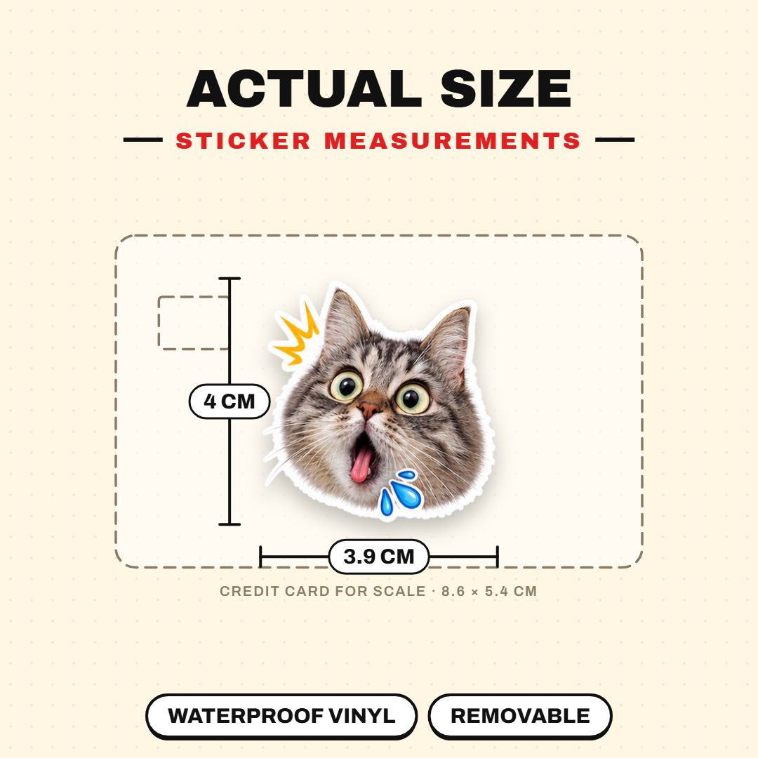 Exaggerated Cat Faces