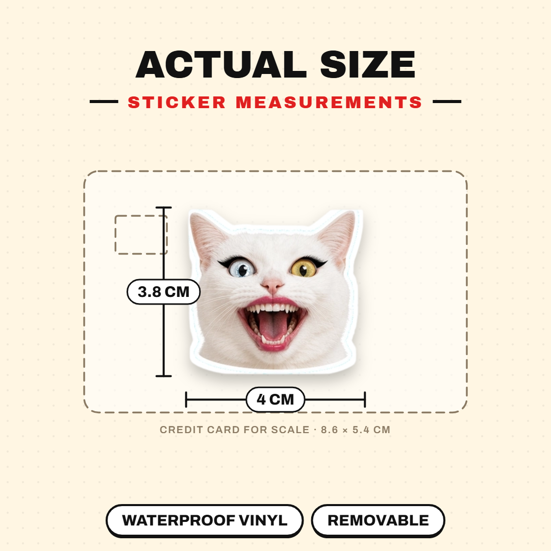Exaggerated Cat Faces