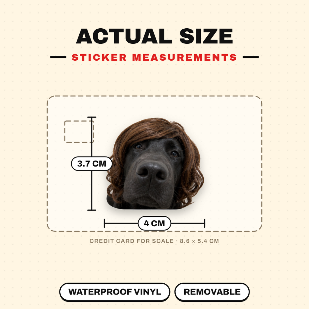 Funny Dog