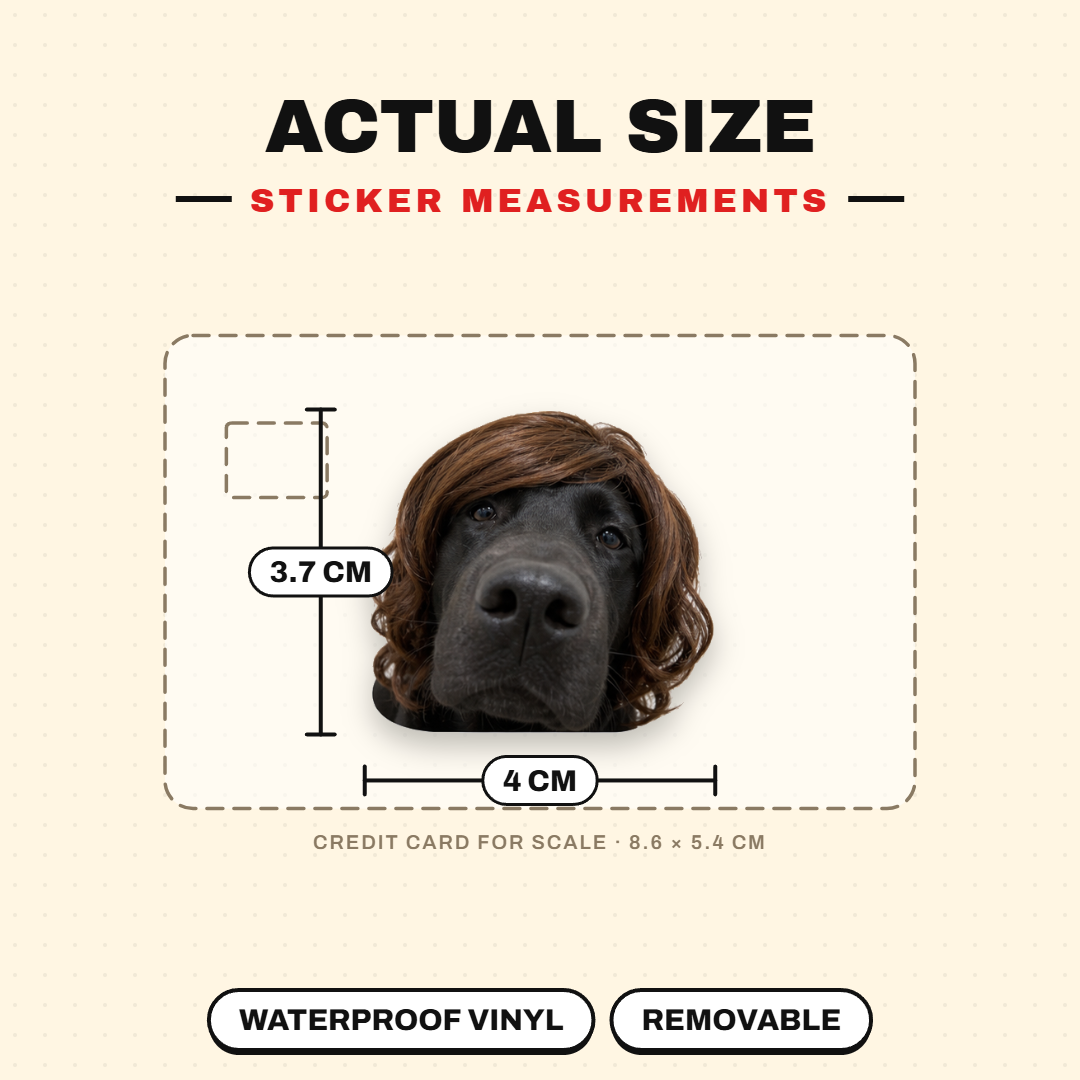 Funny Dog