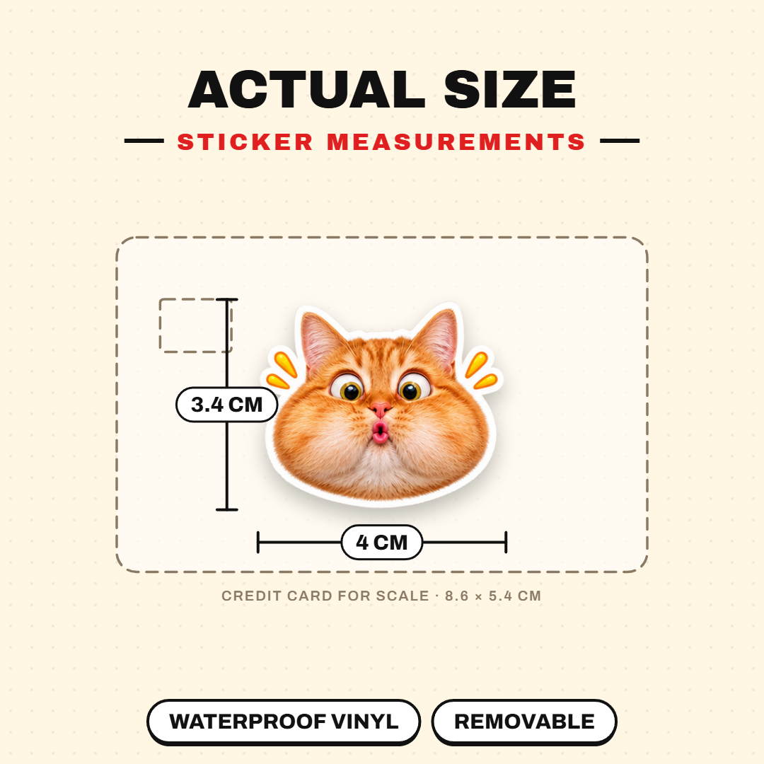 Cat Meme 2
