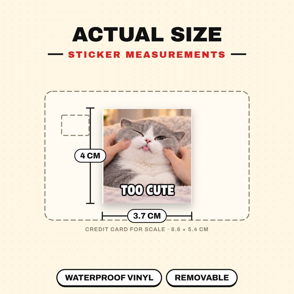 Cute Kitty