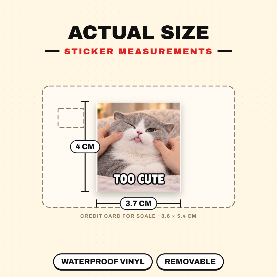 Cute Kitty