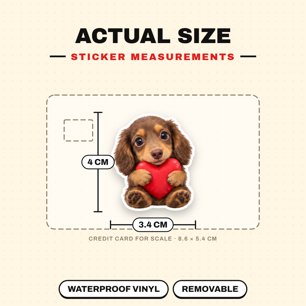 Dachshund