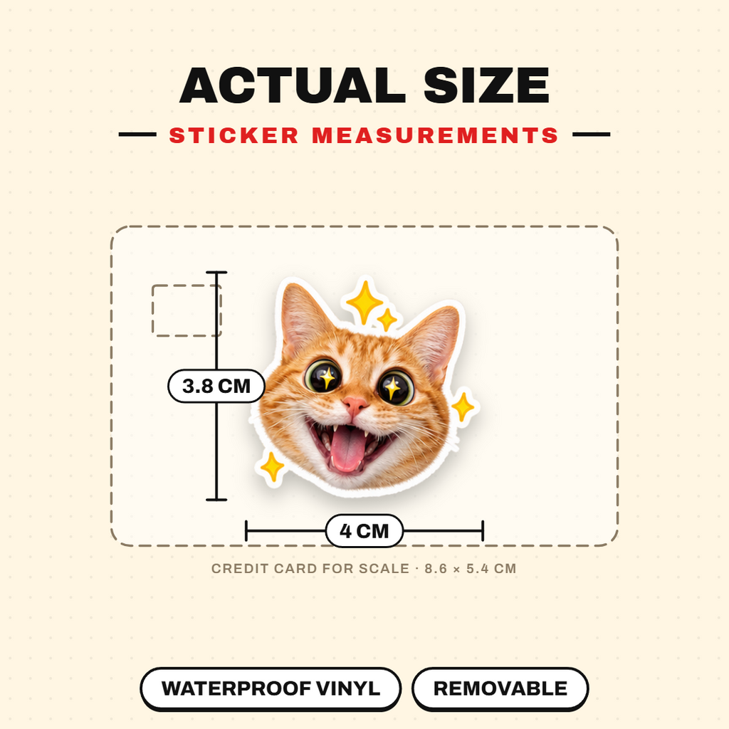Cat Meme