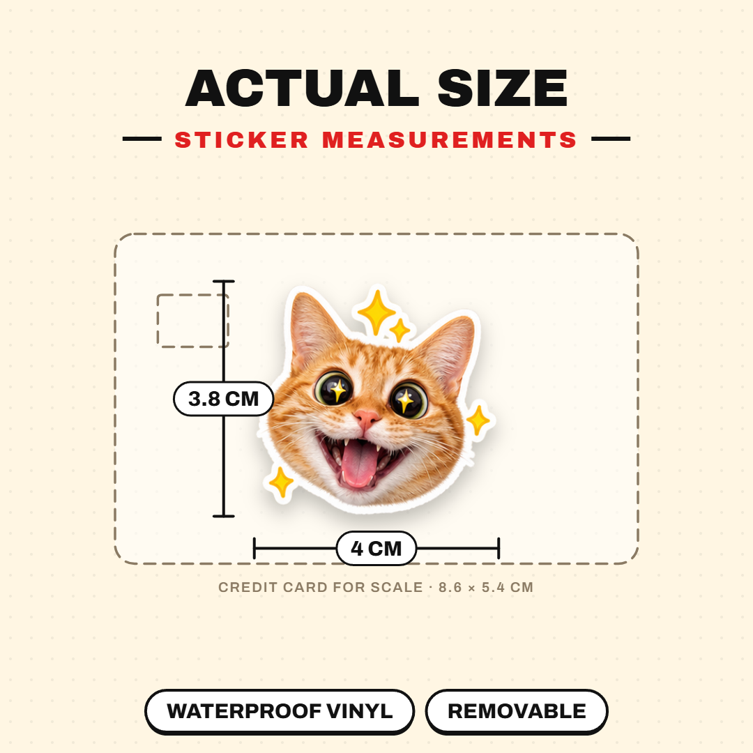 Cat Meme