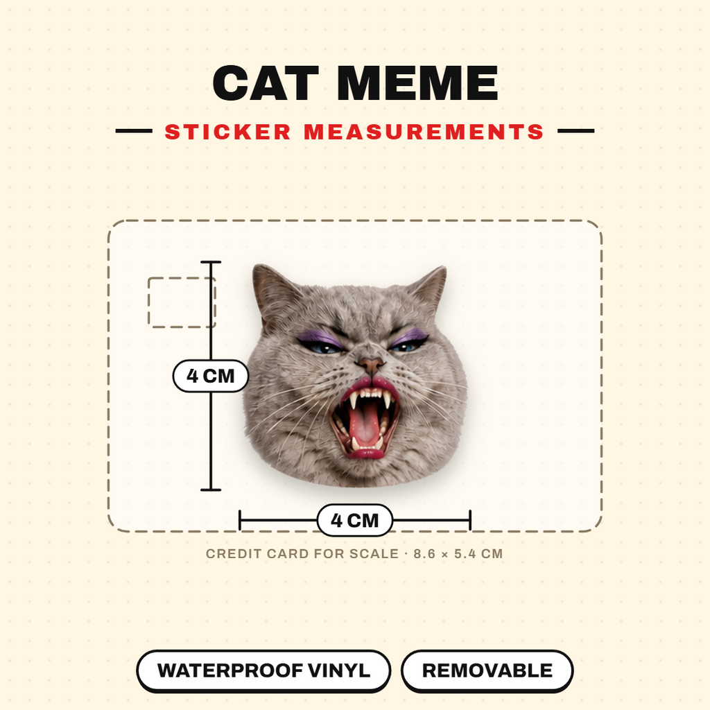 Cat Meme