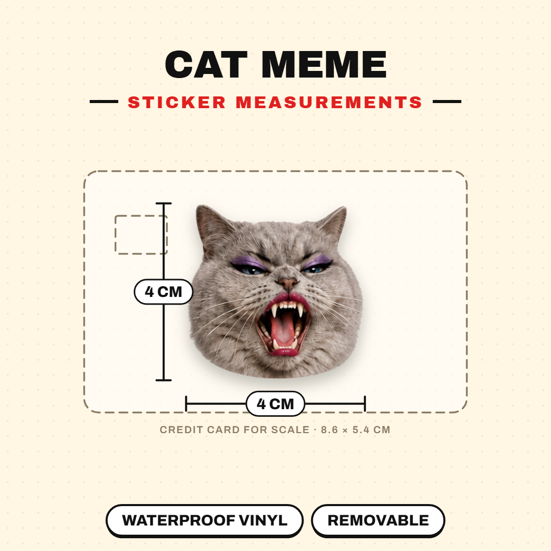 Cat Meme