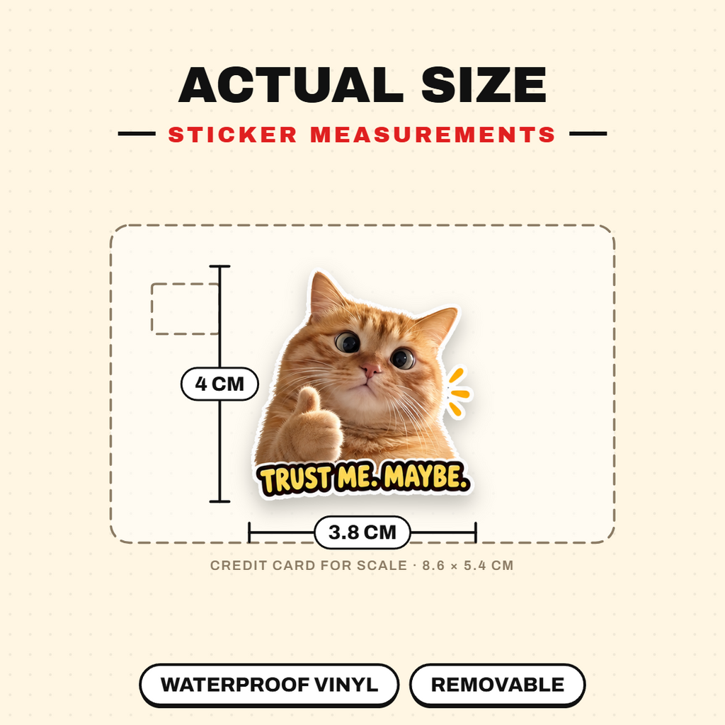 Wise Meow