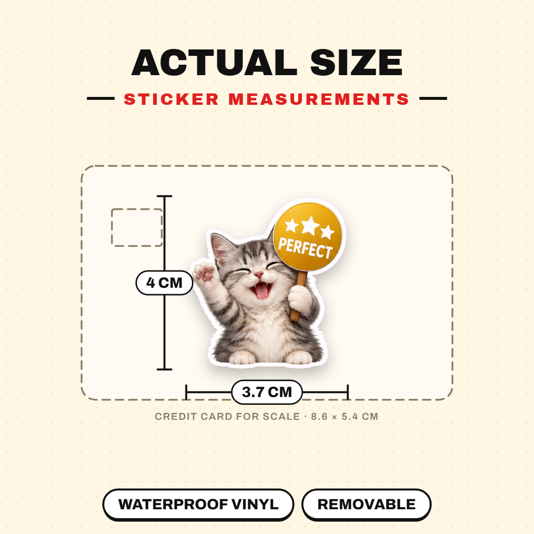 Sign Board Cat