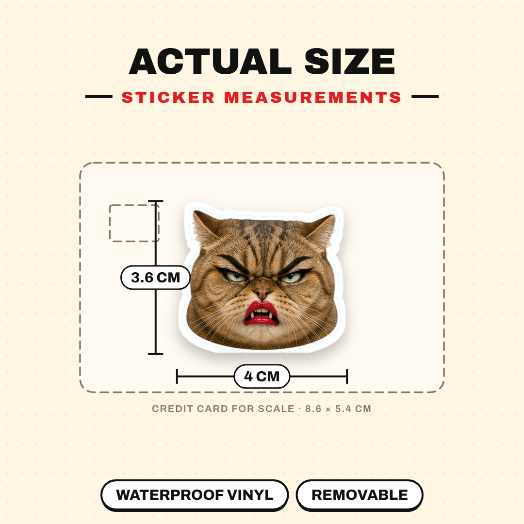 Exaggerated Cat Faces