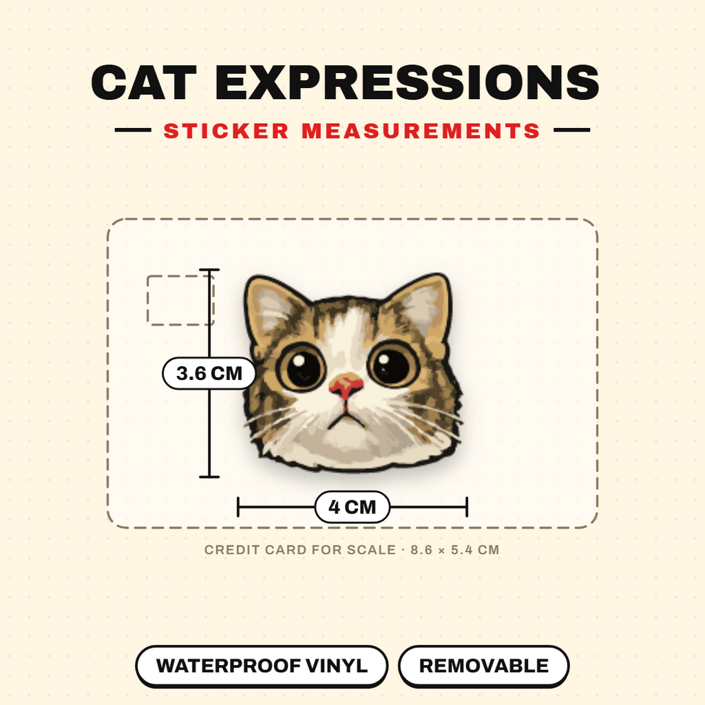 Funny Cat Expressions Sticker Pack