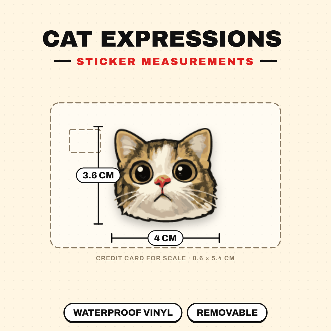Funny Cat Expressions Sticker Pack