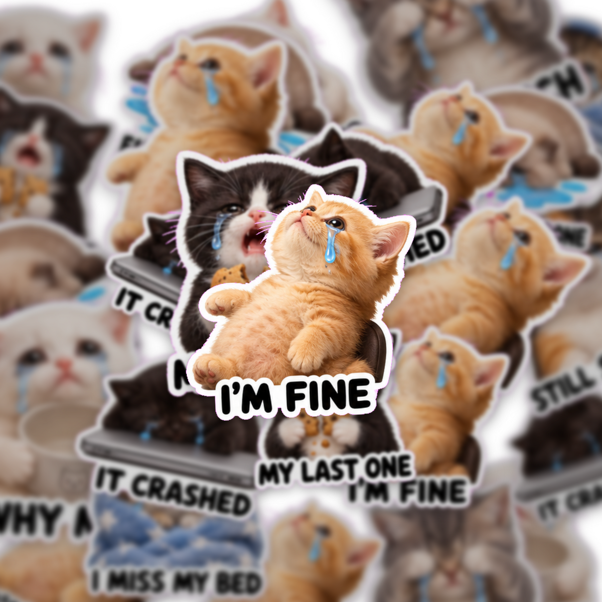 Crying Cat