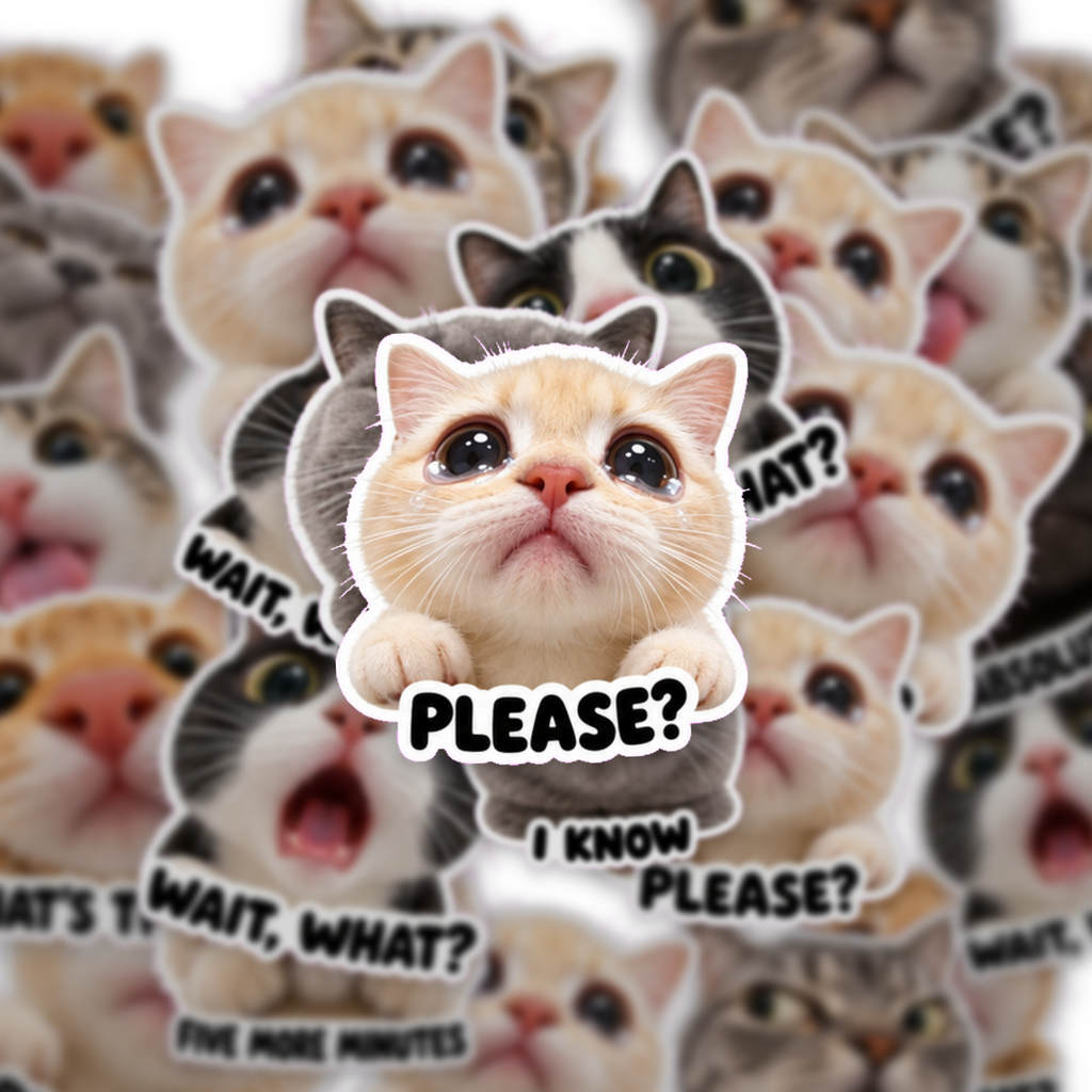 Cute Cat