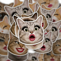 Cat Reaction Face Stickers Pack
