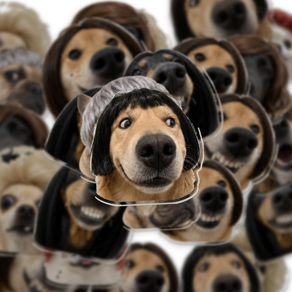 Funny Dog