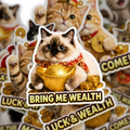 Lucky Cat Wealth & Success Waterproof Sticker Pack