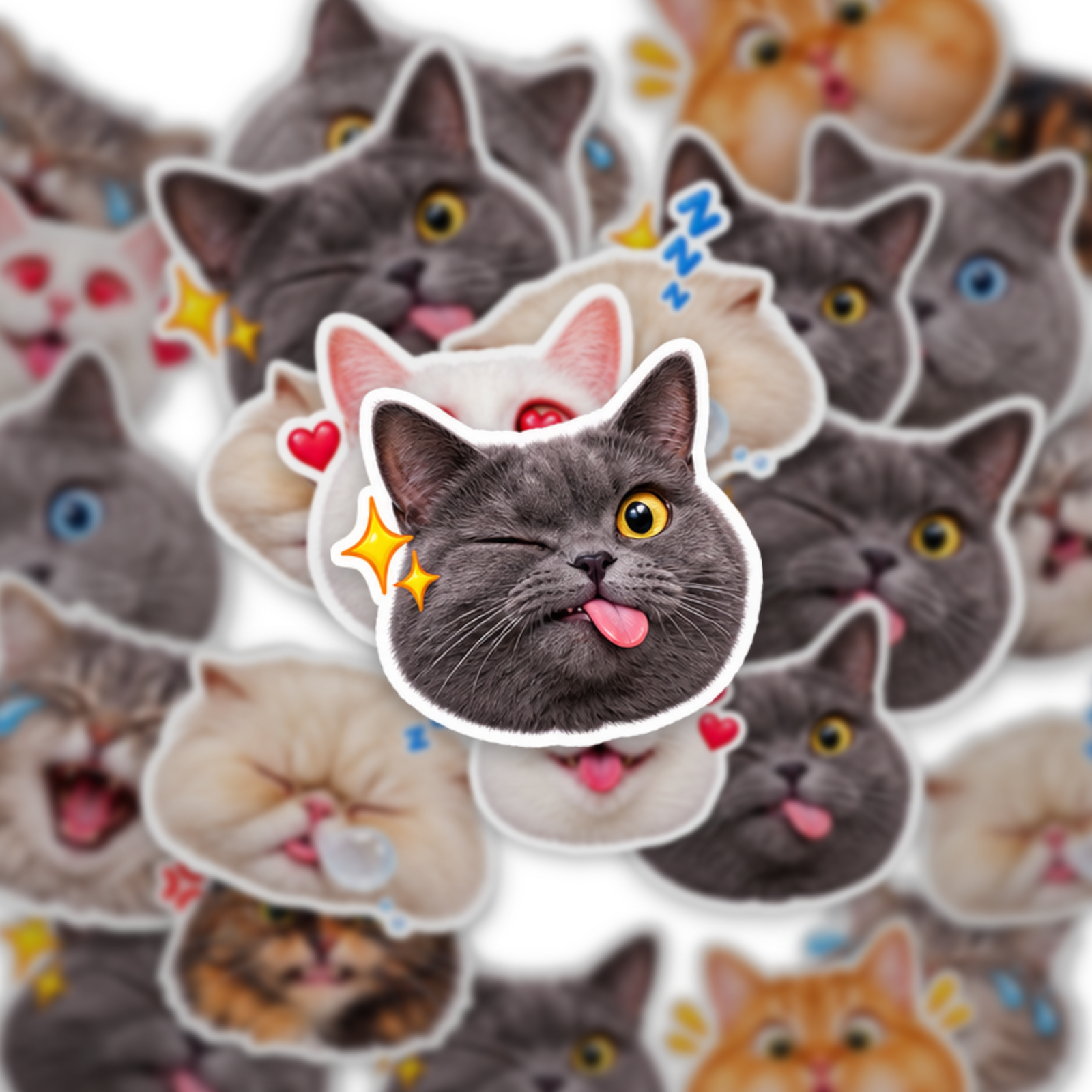 Cat Meme 2