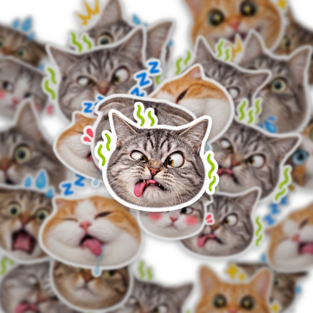 Cat Meme