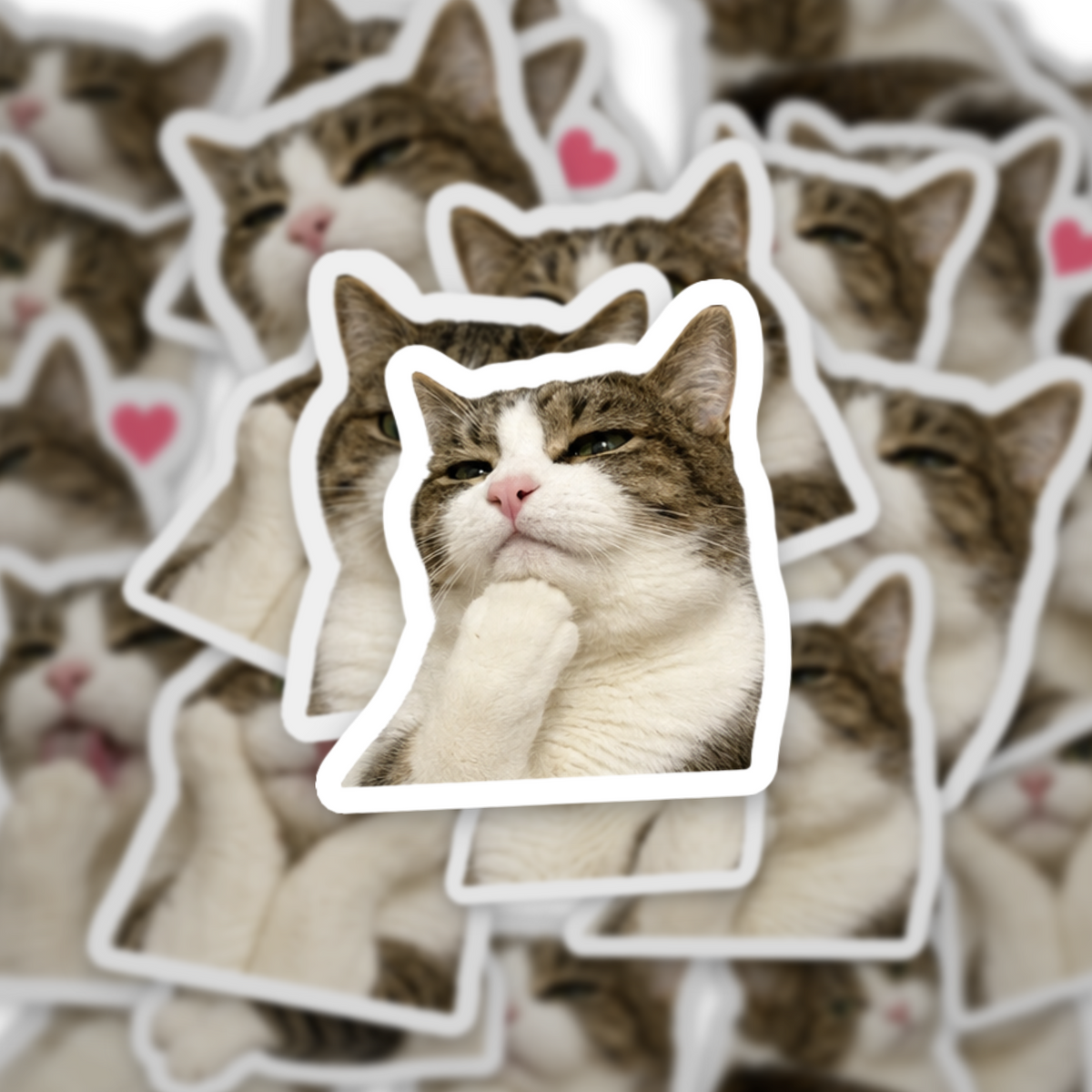 Lovely Meow