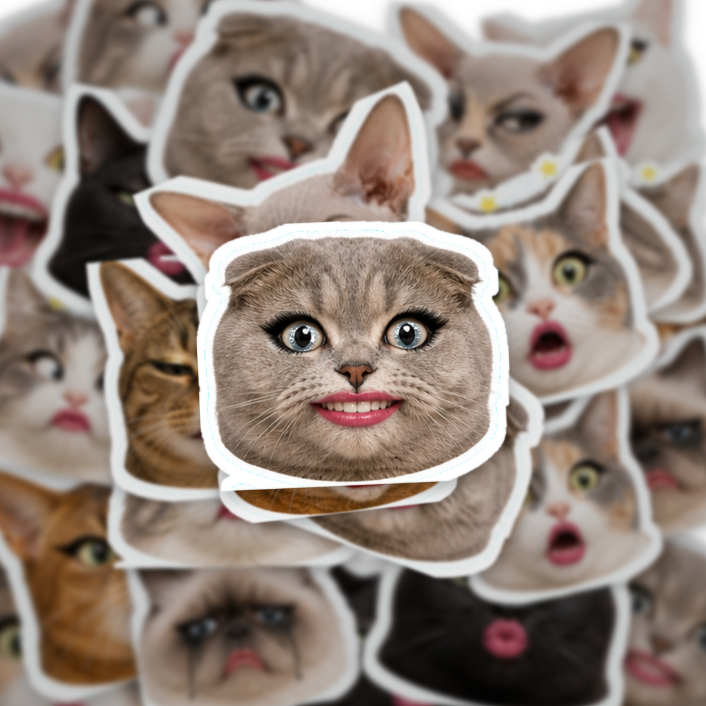 Exaggerated Cat Faces