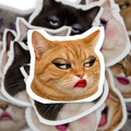 Exaggerated Cat Faces