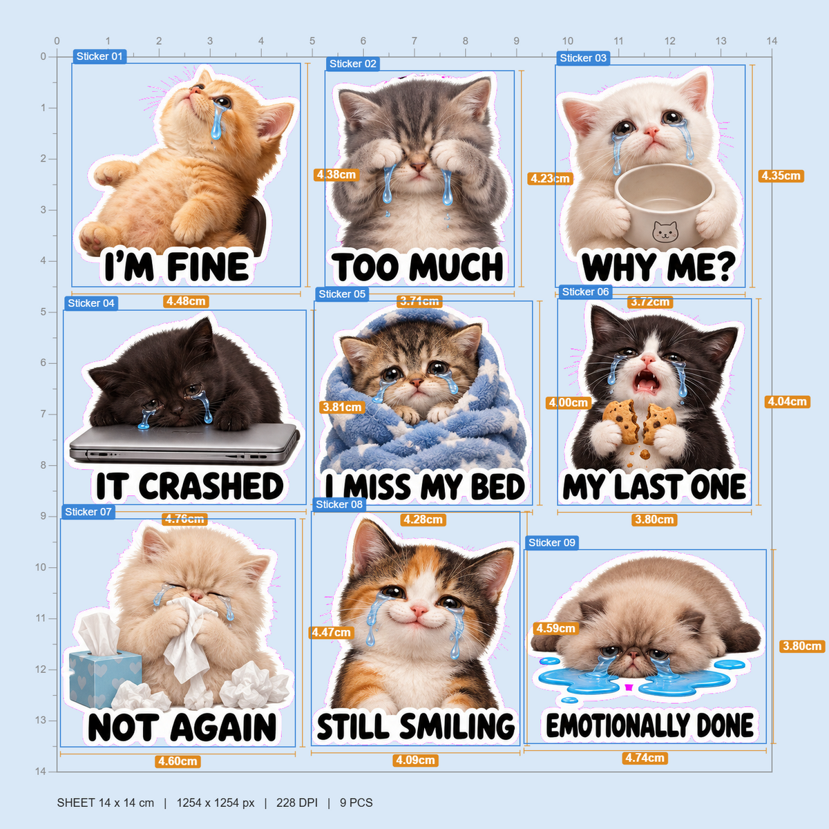 Crying Cat