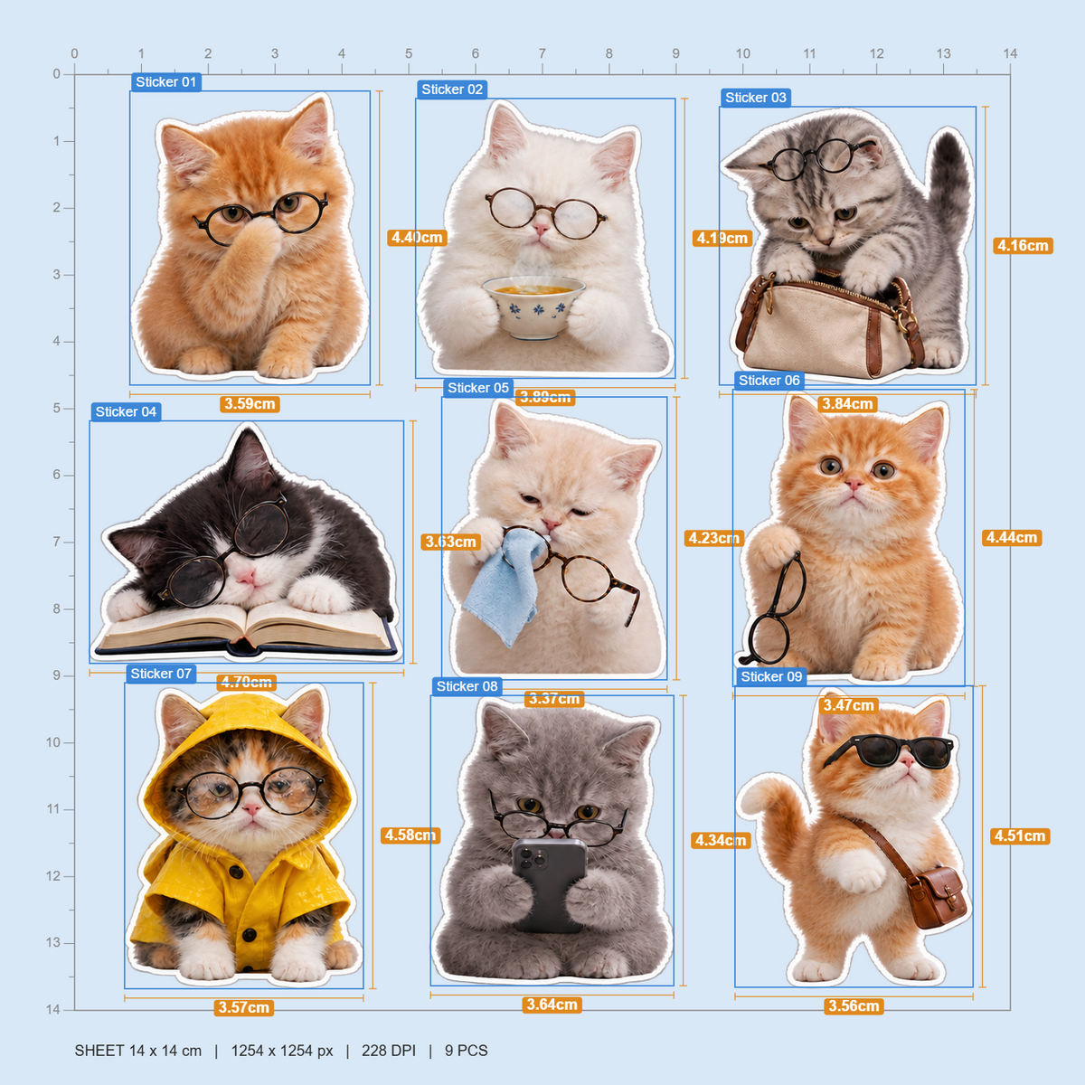 Glasses Cat Daily Life
